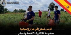 فرص تطوع في مزارع إسبانيا لمدة 9 شهور شامل التذاكر والإقامة