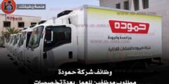 وظائف شركة حمودة: فرص عمل مميزة في مجال المبيعات لعام 2025