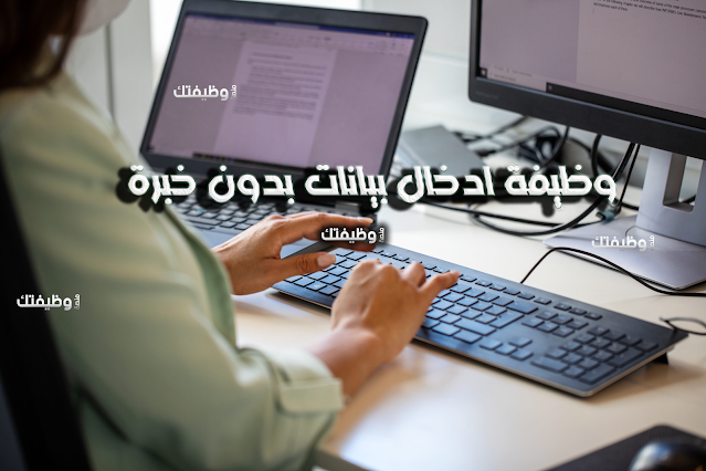 وظيفة مدخل البيانات