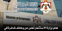 وظائف وزارة الاستثمار