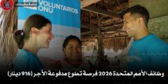 وظائف الأمم المتحدة 2026 فرصة تطوع مدفوعة الأجر (916 دينار)