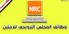 وظيفة شاغرة لدى المجلس النرويجي للاجئين