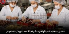 مطلوب عاملات تعبئة وتغليف شوكلاتة عدد 12 براتب 350 دينار