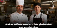 وظائف شيفات في العقبة 2026 | مطاعم عالمية تعلن عن شواغر ديبارتي شيف وديمي شيف