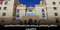 دائرة قاضي القضاة تعلن عن وظائف شاغرة لعام 2026 لحملة الدبلوم والبكالوريوس